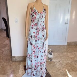 Cynthia Steffe maxi dress